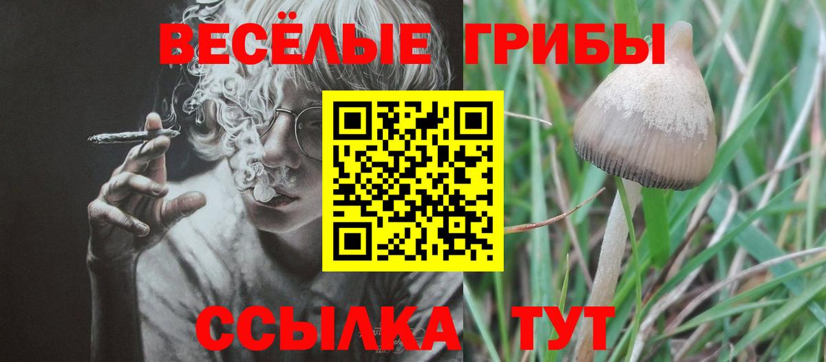 Псилоцибиновые грибы прущие грибы Серпухов
