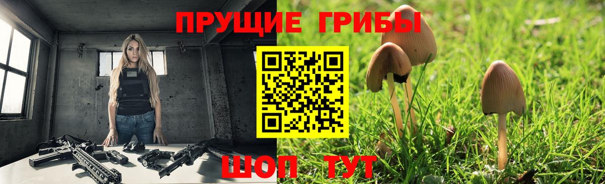 Галлюциногенные грибы Psilocybe  сколько стоит  Серпухов  Вход с VPN  Псилоцибиновые грибы Psilocybe 